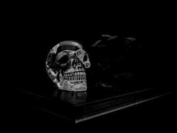 glass skull and black rose sitting on a black book